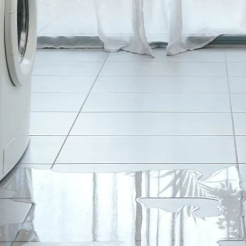 Appliance Leak Cleanup in Cape Canaveral, FL
